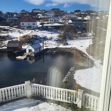 Cute Apartment By The Ocean Foldnes Exteriör bild
